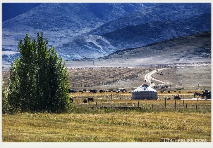 Grandpa's photography caravan, photoshoot in Xinjiang!