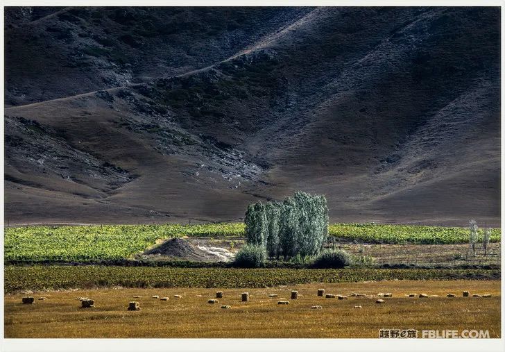 Grandpa's photography caravan, photoshoot in Xinjiang!