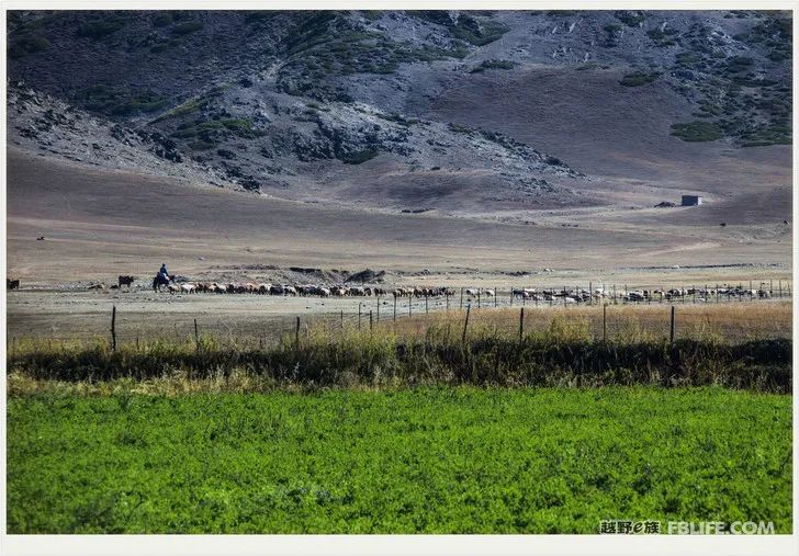 Grandpa's photography caravan, photoshoot in Xinjiang!