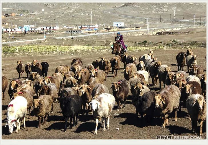 Grandpa's photography caravan, photoshoot in Xinjiang!