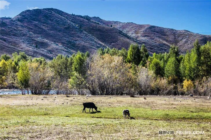 Grandpa's photography caravan, photoshoot in Xinjiang!