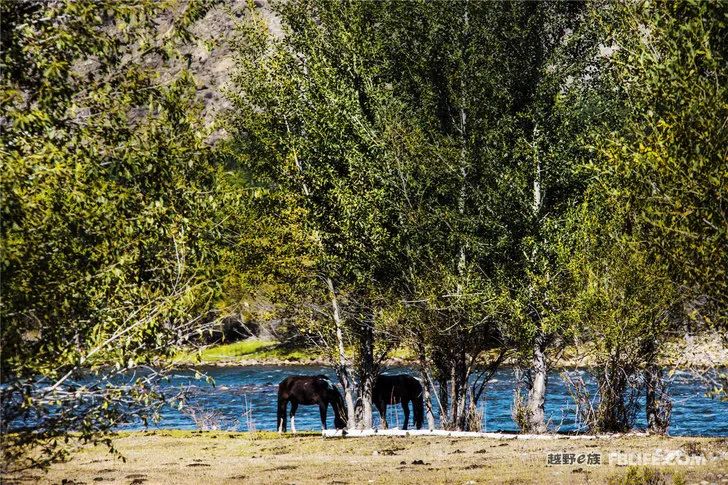 Grandpa's photography caravan, photoshoot in Xinjiang!