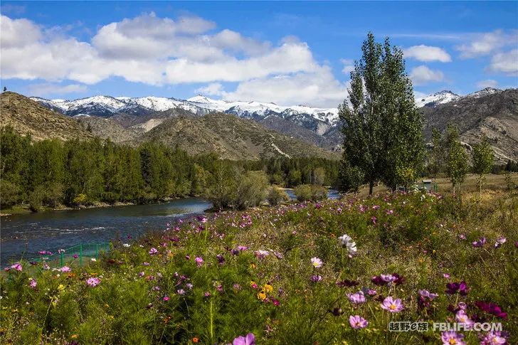 Grandpa's photography caravan, photoshoot in Xinjiang!