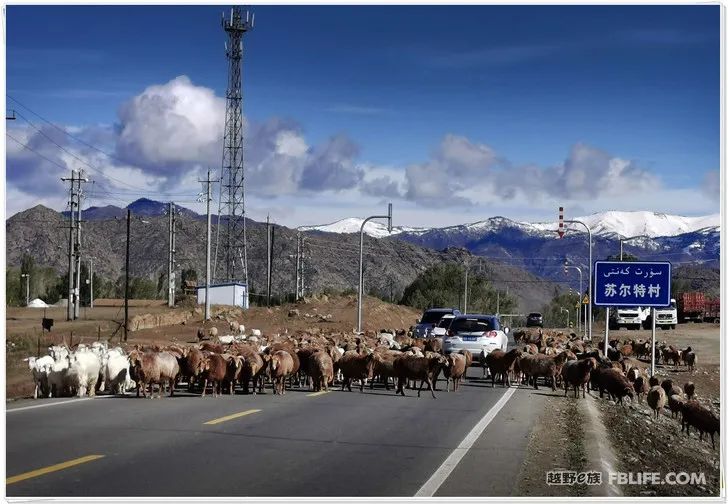 Grandpa's photography caravan, photoshoot in Xinjiang!