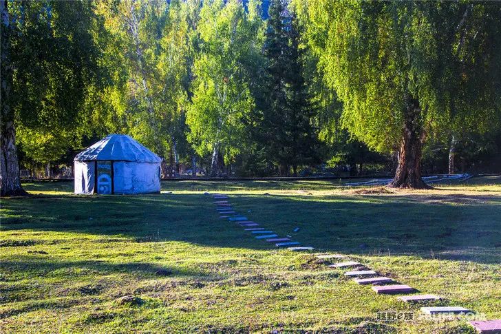 Grandpa's photography caravan, photoshoot in Xinjiang!