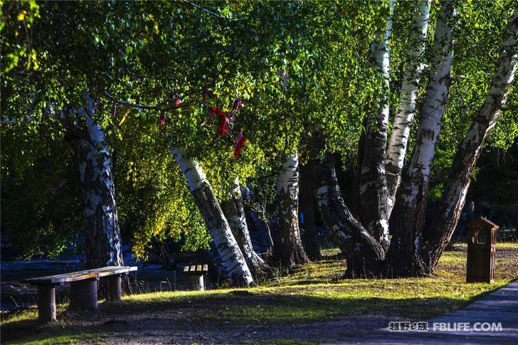 Grandpa's photography caravan, photoshoot in Xinjiang!