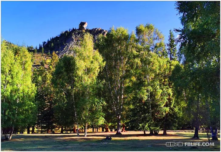 Grandpa's photography caravan, photoshoot in Xinjiang!