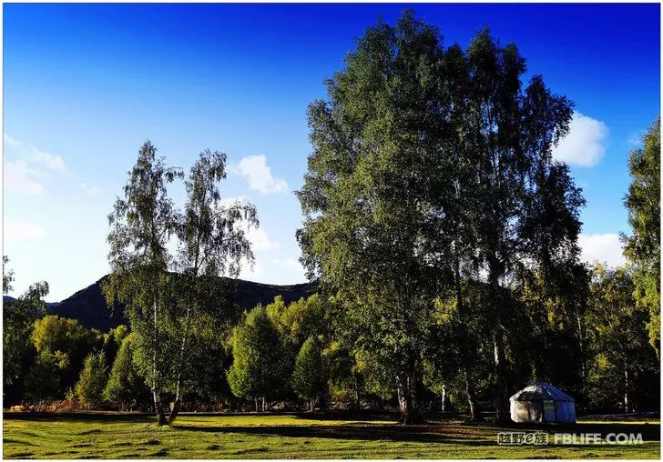 Grandpa's photography caravan, photoshoot in Xinjiang!