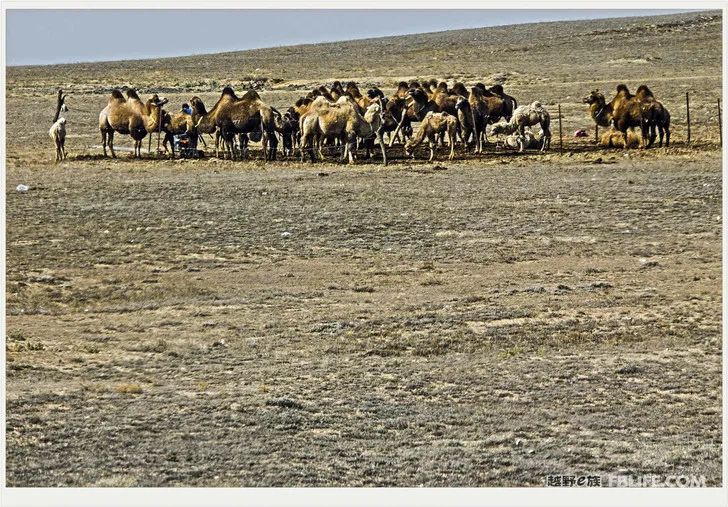 Grandpa's photography caravan, photoshoot in Xinjiang!