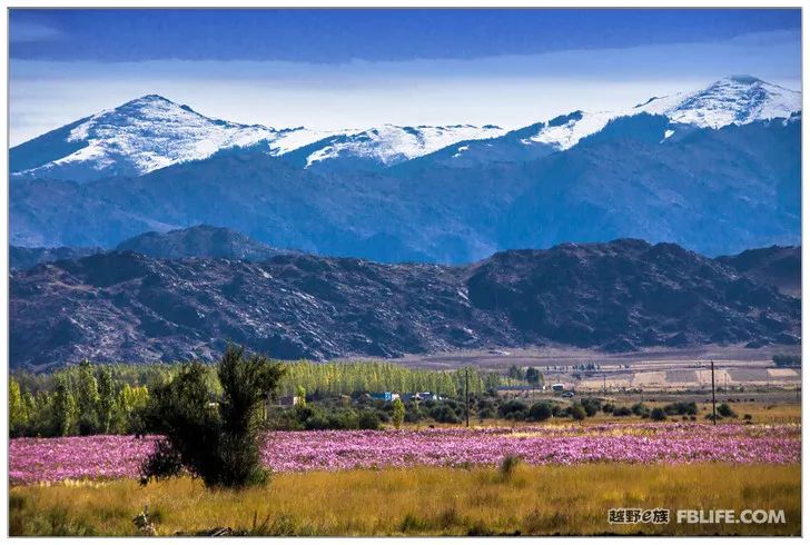 Grandpa's photography caravan, photoshoot in Xinjiang!