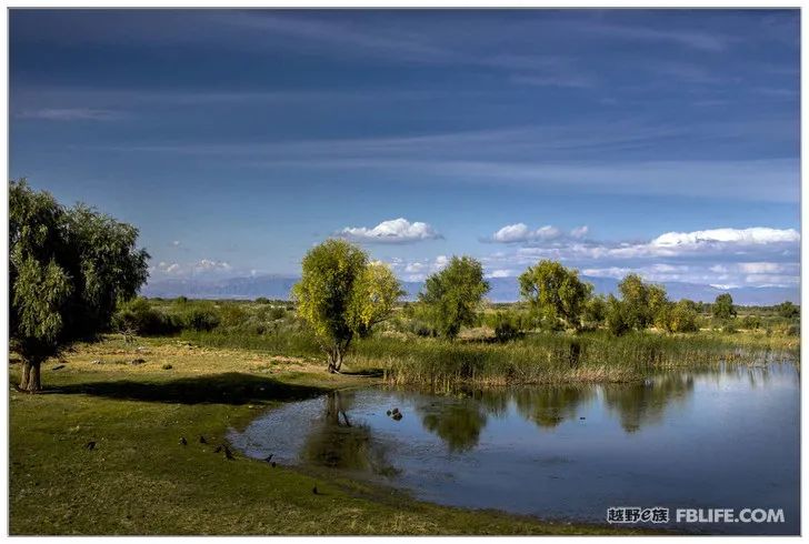 Grandpa's photography caravan, photoshoot in Xinjiang!