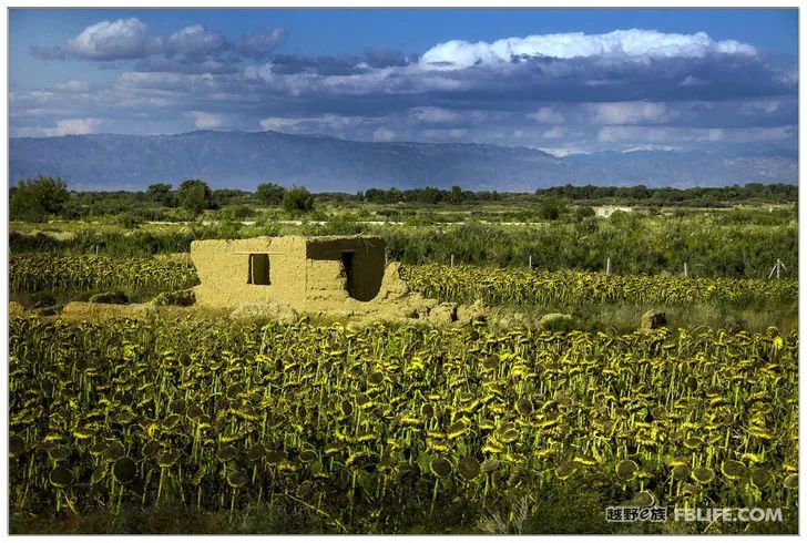 Grandpa's photography caravan, photoshoot in Xinjiang!