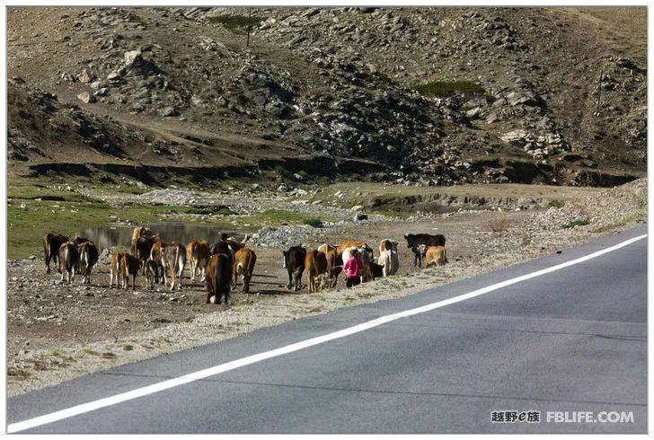 Grandpa's photography caravan, photoshoot in Xinjiang!