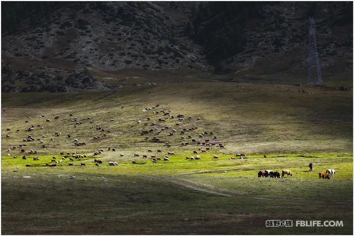 Grandpa's photography caravan, photoshoot in Xinjiang!