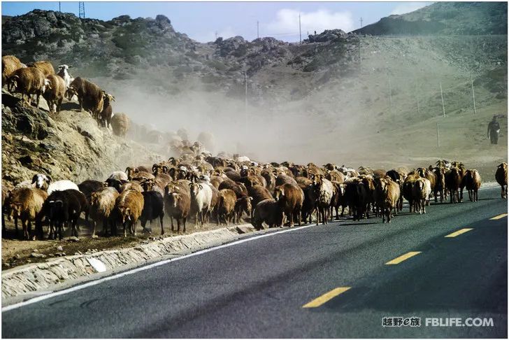 Grandpa's photography caravan, photoshoot in Xinjiang!