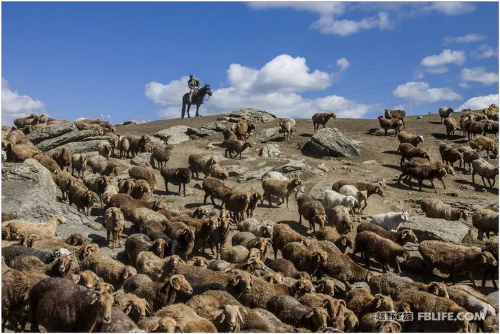 Grandpa's photography caravan, photoshoot in Xinjiang!