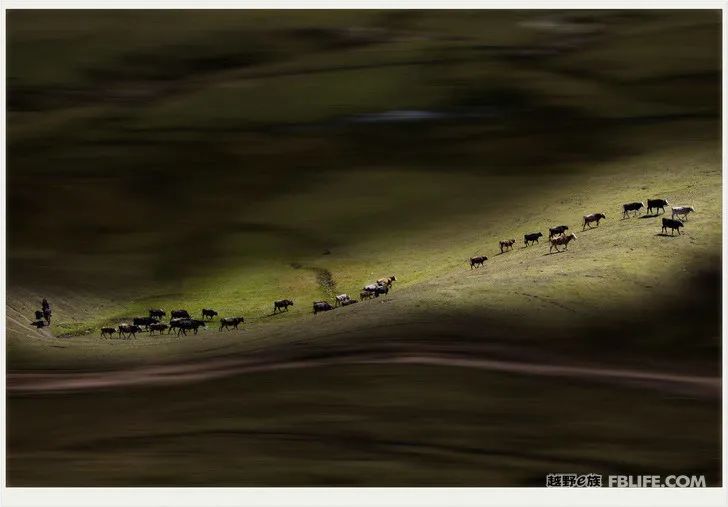 Grandpa's photography caravan, photoshoot in Xinjiang!