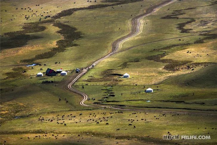 Grandpa's photography caravan, photoshoot in Xinjiang!