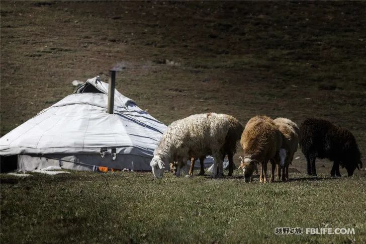 Grandpa's photography caravan, photoshoot in Xinjiang!