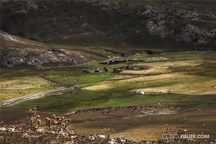 Grandpa's photography caravan, photoshoot in Xinjiang!