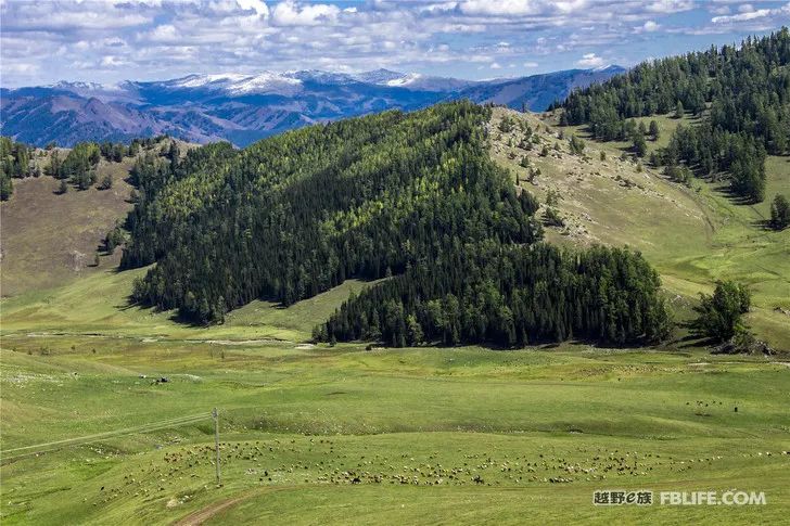 Grandpa's photography caravan, photoshoot in Xinjiang!