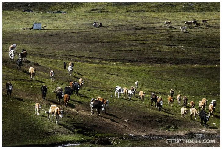 Grandpa's photography caravan, photoshoot in Xinjiang!