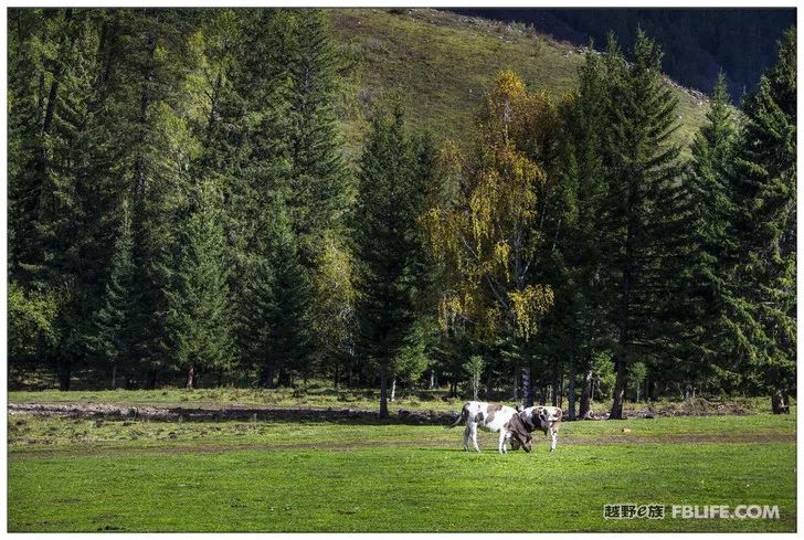 Grandpa's photography caravan, photoshoot in Xinjiang!