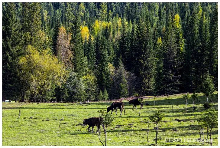 Grandpa's photography caravan, photoshoot in Xinjiang!