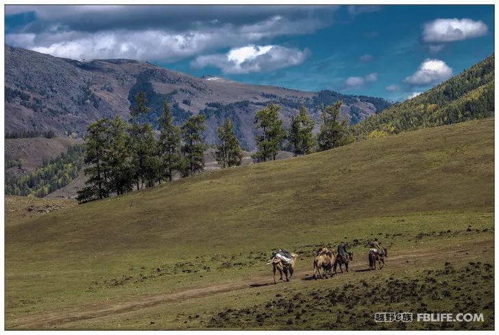 Grandpa's photography caravan, photoshoot in Xinjiang!