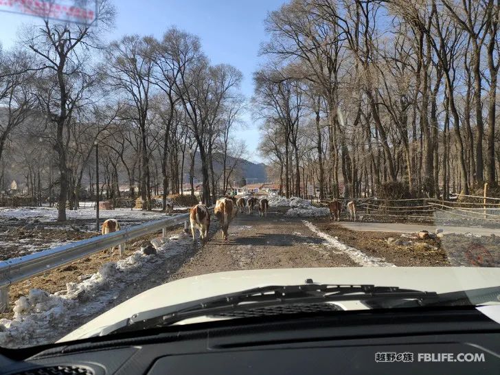 Walk alone in Laozhanggou and cross the frozen road!