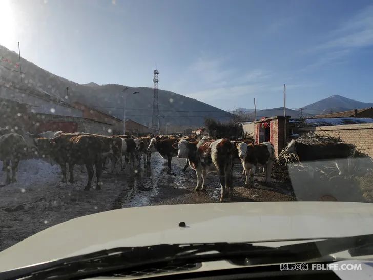 Walk alone in Laozhanggou and cross the frozen road!