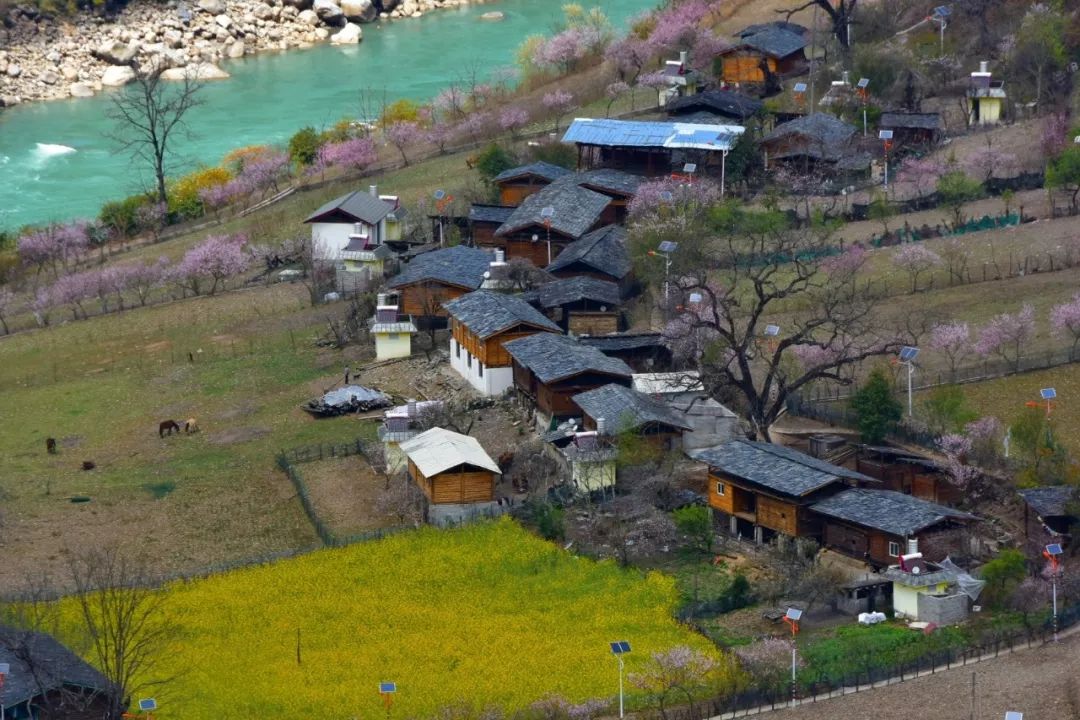 Photography丨Spring Feast: Peach Blossoms in Bingzhongluo