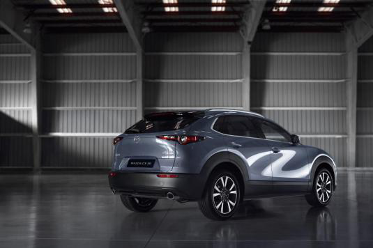 Curved surface of the dome: MAZDA CX-30's 