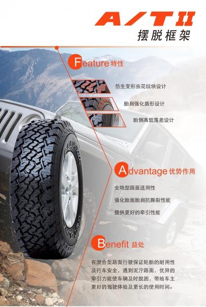 Crossing no man's land, Zhengxin off-road tires help explore China