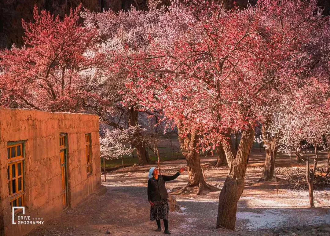 In terms of danger and beauty, Bingchacha is not inferior. Is this mysterious ancient road in Xinjiang about to be submerged?