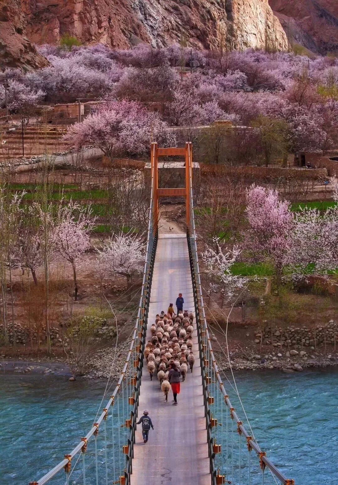 In terms of danger and beauty, Bingchacha is not inferior. Is this mysterious ancient road in Xinjiang about to be submerged?