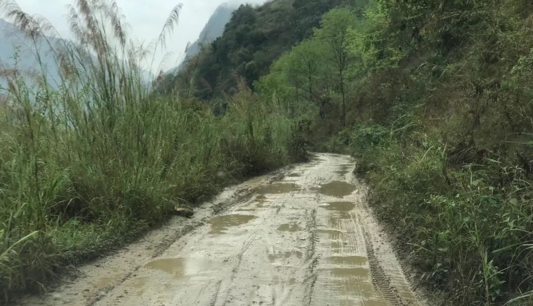 Unfortunate new trip to Yunnan and Tibet: the road to Bingchacha is more difficult than Bingchacha