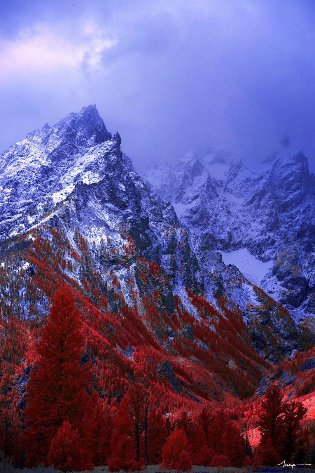 Under infrared photography, there are dreamy scenery you have never seen before