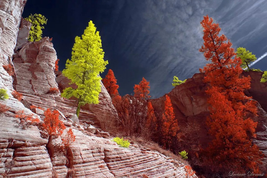 Under infrared photography, there are dreamy scenery you have never seen before