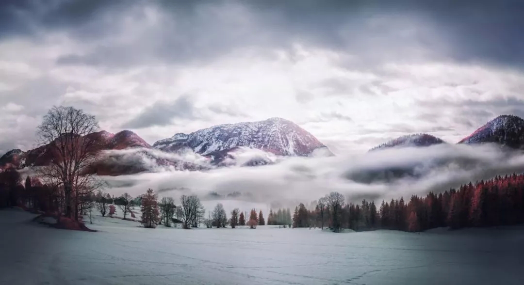 Under infrared photography, there are dreamy scenery you have never seen before