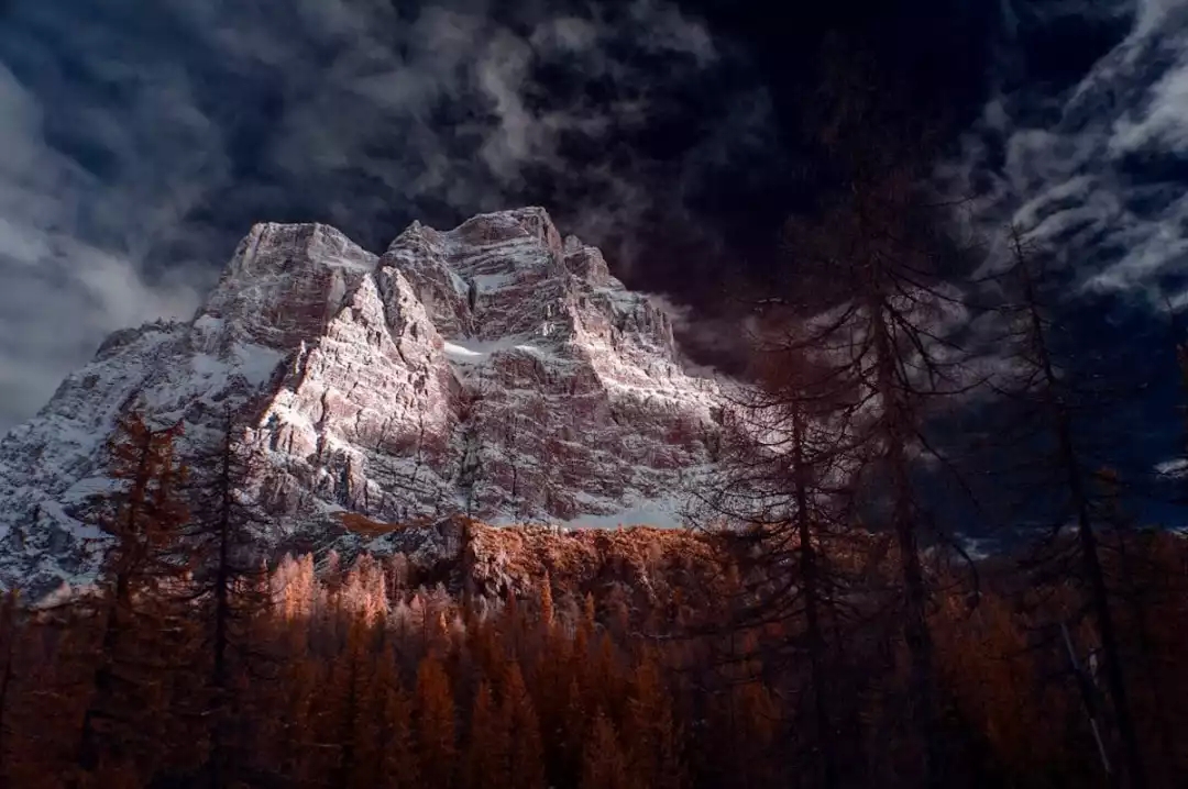 Under infrared photography, there are dreamy scenery you have never seen before