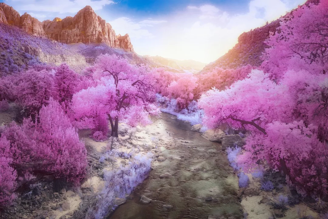 Under infrared photography, there are dreamy scenery you have never seen before