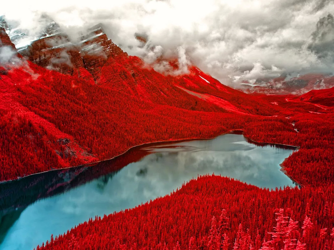 Under infrared photography, there are dreamy scenery you have never seen before