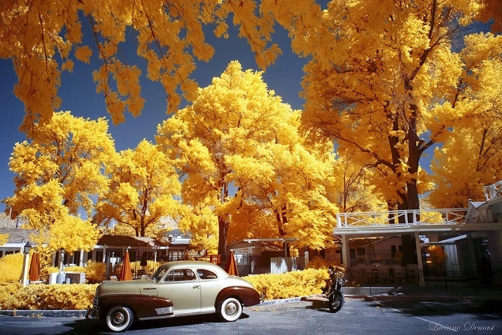 Under infrared photography, there are dreamy scenery you have never seen before