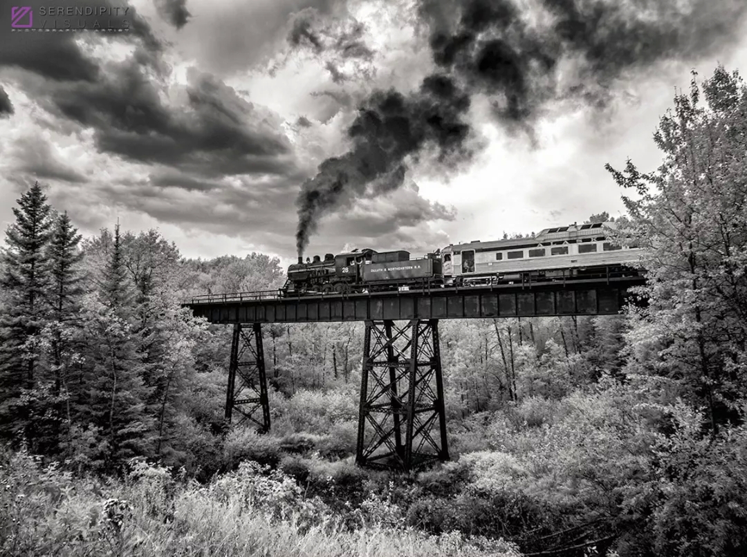 Under infrared photography, there are dreamy scenery you have never seen before