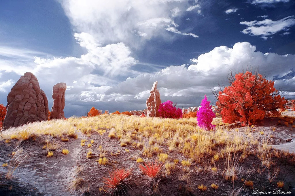 Under infrared photography, there are dreamy scenery you have never seen before