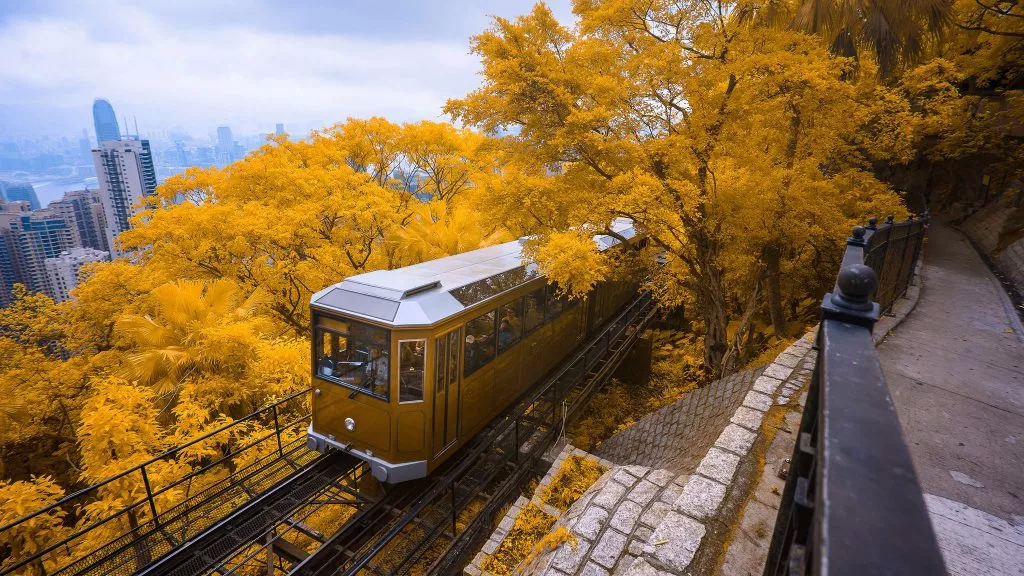 Under infrared photography, there are dreamy scenery you have never seen before