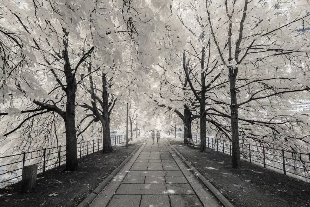 Under infrared photography, there are dreamy scenery you have never seen before