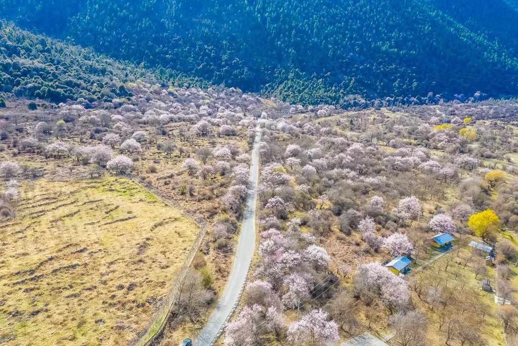 Tibet, where the heart goes, the paradise of dreams