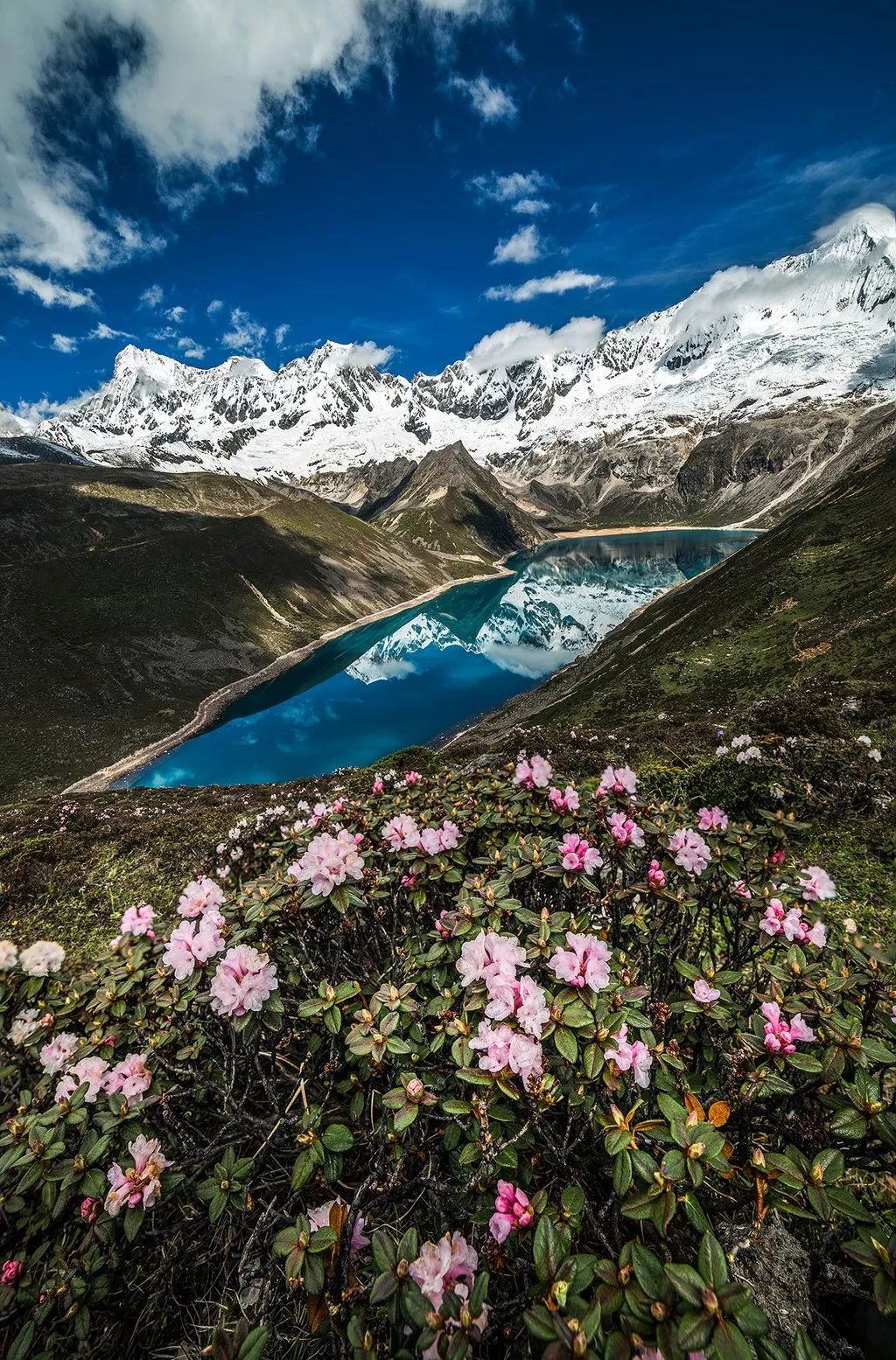 Tibet, where the heart goes, the paradise of dreams